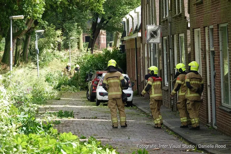 Woningen ontruimd in Enkhuizen vanwege vallende bomen