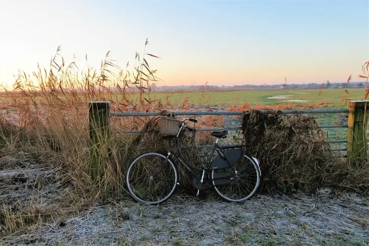 Komende week rustig weer met dagelijks kans op winterse buitjes