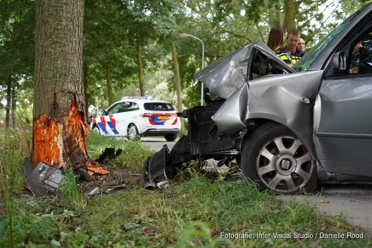 Auto tegen boom gereden in Wijdenes, twee gewonden