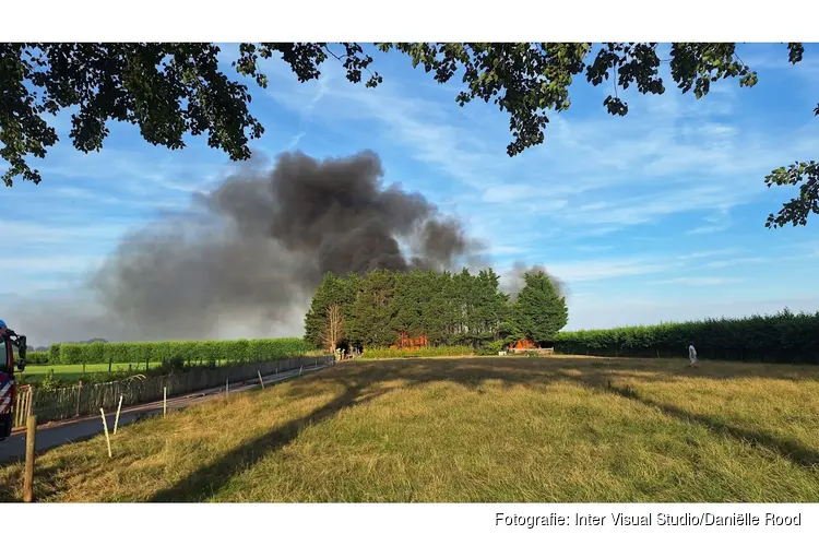 Buitenbrand in coniferenhaag en twee schuurtjes in Hem