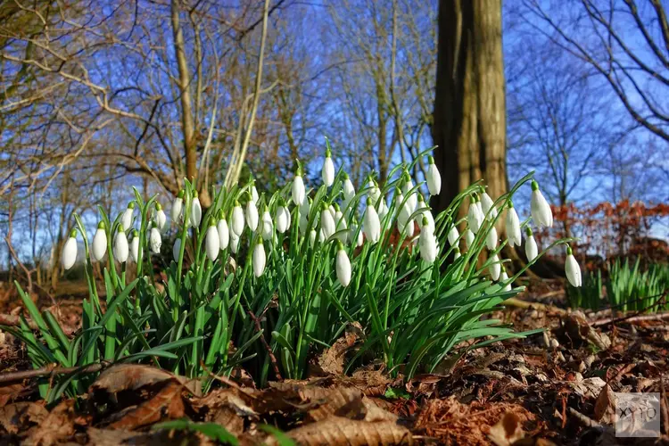 Nat weekend wordt opgevolgd door droge en frisse dagen