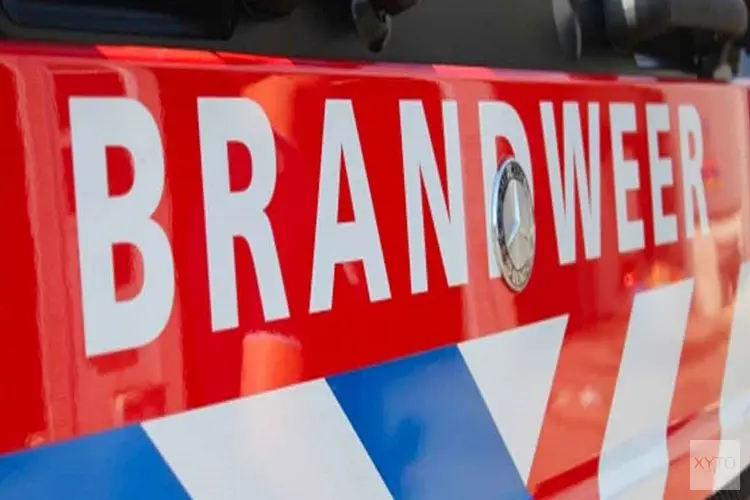 Twee koeien zakken door vloer in Wijdenes, brandweer brengt redding