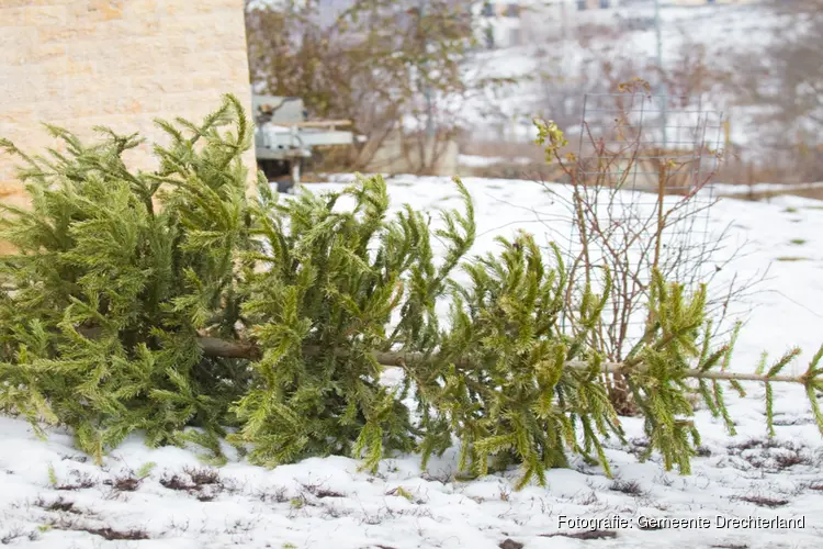 Prijzen kerstboom-loterij