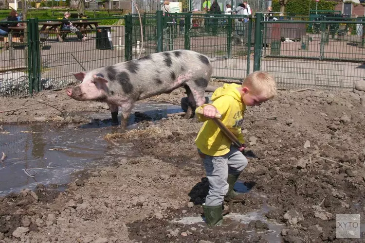 Word dierenverzorger voor een dag!