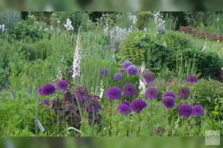 Wek je tuin tot leven op de Natuur- en Levende Tuinen-dag!