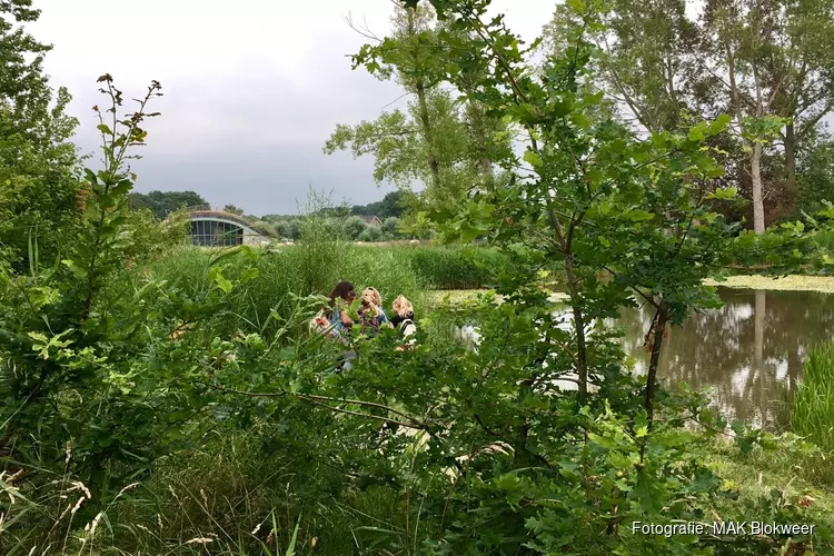 Ontdek de geheimen van het Boezelbos