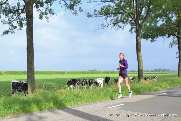 Parcours NK 10 km op de weg verkend door kanshebber titel: Bo Ummels